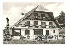 Cp, Commerce, Berghotel Ponyhof (Allemagne), Voyagée 1966 - Ristoranti
