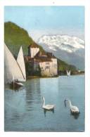 Cp, Animaux, Cygne, Chillon (Suisse), Et La Dent Du Midi - Birds