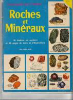 Livre - Petite Encyclopédie Roches Et Minéraux  N°48 De 1958 ( Avec Images) - Encyclopédies