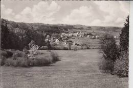 6424 GREBENHAIN - HOCHWALDHAUSEN, Ortsansicht 1955 - Lauterbach