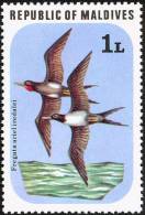 Maldives Is 1977 Birds Aves Oiseaux Vegels - Lesser Frigatebird - Fregata Ariel MLH - Albatros & Stormvogels