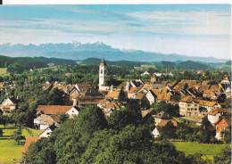 Wangen Im Allgäu Le Villagecarte Postale Circulée En 2001 Exc N° 274 - Wangen I. Allg.