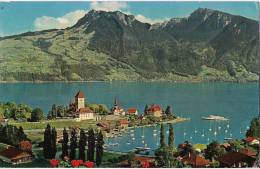 SUISSE SPIEZ MIT SCHLOSS UND ROM. KIRCHE  SIGRISWILERGRAT UND NIEDERHORN - Sigriswil