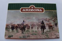 Arizona Roundup -  - Cowboys - Troupeau De Vaches - Otros & Sin Clasificación