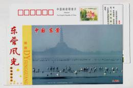 Swan Lake The Biggest Artificial Reservoir In Asia,China 2006 Dongying Landscape Advertising Pre-stamped Card - Cygnes