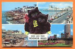 Good Luck From BOGNOR REGIS.  Black Cats , Chats Noirs. Franked 1972 , Cat - Bognor Regis