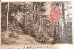 80 Poix De Picardie - Promenade Des Arbrisseaux - Poix-de-Picardie