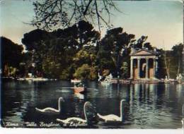 Laz 8328	Roma – Villa Borghese – Il Laghetto - Parks & Gärten