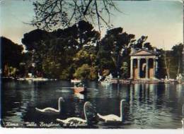 Laz 8328	Roma – Villa Borghese – Il Laghetto - Parchi & Giardini