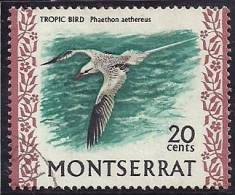 Montserrat 1970 Birds Aves Oiseaux  Vegels - Red-billed Tropicbird - Phaethon Aethereus Canc - Albatros