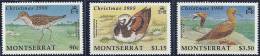 Montserrat 1988 Birds Aves Oiseaux  Vegels - Christmas - Sandpiper-Turnstone-Booby  MH - Palmípedos Marinos