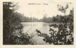 42/CPA - Belmont - L'Etang - Belmont De La Loire