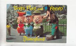 BR56679 Three Pigs And Friend Disneyland   2 Scans - Disneyworld