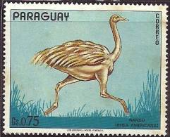 Paraguay 1972 Birds Aves Oiseaux  Vegels - Greater Rhea    Rhea Americana MNH - Ostriches