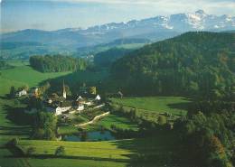 Magdenau, Mit Alpstein Panorama - Stein