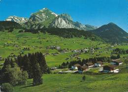 Wildhaus-Lisighaus, Mit Blick Auf Säntis Und Schafberg - Berg