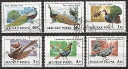 Hongary 1977 - Peacock, Pauwen,  Birds, Oiseaux,  Vögel, Vogels - Peacocks