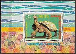 Guinea Ecuatorial - Turtle, Schildpad - Tortues