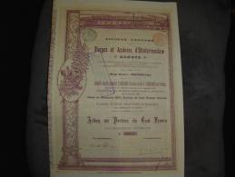 Action Cap.Soc.2500000F" Forges Et Aciéries D'Ekaterinoslaw ,Donetz 1895 Russie. Russia. - Russie