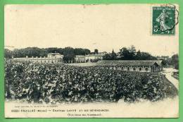 33 PAUILLAC - Chateau Lafite Et Ses Dépendances - Pauillac