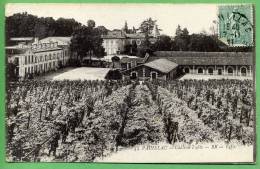 33 PAUILLAC - Chateau Lafite - Pauillac