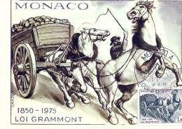MONACO - Loi Grammont - Le Cheval - Timbre Et Tampon Jour D'émission - Cartoline Maximum