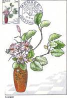 MONACO - Concours International De Bouquets - Timbre Et Tampon Jour D'émission - Cartoline Maximum