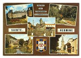 CPM De Sainte Hermine - Sainte Hermine