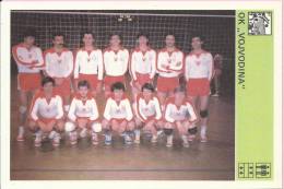 SPORT CARD No 213 - VOLLEYBALL - VOLLEYBALL CLUB VOJVODINA, Yugoslavia, 1981., 10 X 15 Cm - Handbal