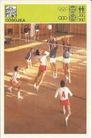 SPORT CARD No 239 - VOLLEYBALL, Yugoslavia, 1981., 10 X 15 Cm - Balonmano