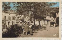 CPSM MONTCLAR DE QUERCY (Tarn Et Garonne) - Un Coin De La Promenade - Montclar De Quercy