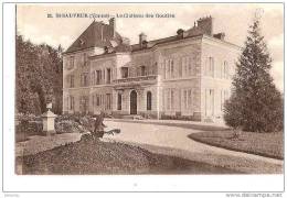 ST SAUVEUR . LE CHATEAU DES GOUTTES. REF 10813 - Saint Sauveur En Puisaye