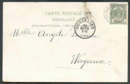 N°53 Obl. Sc Ambulant CHARLEROI-BRAINE-le-COMTE S/C.P. Du 14 Octobre 1902 Vers Wayaux, Via Gosselies - 8653 - Ambulants