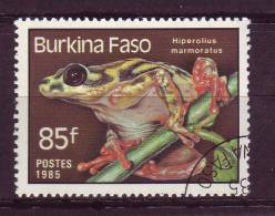 Burkina Faso YV 665 O 1985 Grenouille - Kikkers