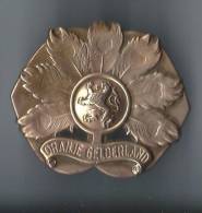 Pays -Bas/ Insigne / Régiment D'Infanterie "Oranje Gederland"/ Vers 1950 ?           D207 - Landmacht