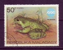 Madagascar YV 569 O 1975 Grenouille - Kikkers