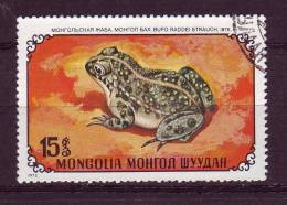 Mongolie YV 631 O 1972 Grenouille - Kikkers