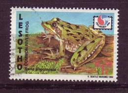Lesotho YV 1135 O 1994 Grenouille - Kikkers