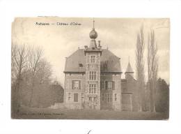 - 1647 -   ANTHISNES  Chateau  D'Ouhar  (  Manque Coin Superieur Droit ) - Anthisnes