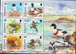 ALDERNEY- 2011-BAILIWICK BIRDS- BEAUTIFUL MNH SS - Marine Web-footed Birds