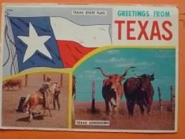 E1-etats-unis-texas--greetings-state Flag Longhorn-- - Autres & Non Classés