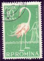 Rumania Romania 1957 Birds Aves Oiseaux Vegels Great Egret -  Ardea Alba Canc - Cigognes & échassiers