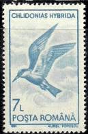 Rumania Romania 1991 Birds Aves Oiseaux Vegels - Water Birds - Whiskered Tern - Chlidonias Hybridus MNH - Albatros