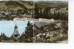 Gruss Aus Todtmoos Schwarzwald 1964 - Todtmoos