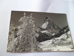 Suisse Zermatt  Das Matterhorn - Matt