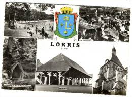 LORRIS. - Multivues. CPM Dentelée - Other & Unclassified