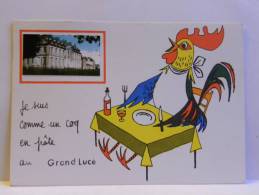 CPM 72 Sarthe - Grand Lucé - Je Suis Comme Un Coq En Pâte Au Grand Lucé - Le Grand Luce