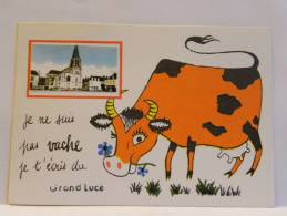 CPM 72 Sarthe - Grand Lucé - Je Ne Suis Pas Vache Je T'écris Du  Grand Lucé - Le Grand Luce