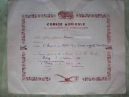 - DONZY- COMICE AGRICOLE DE L'ARRONDISSEMENT De COSNE SUR LOIRE- Diplôme - Diplomi E Pagelle