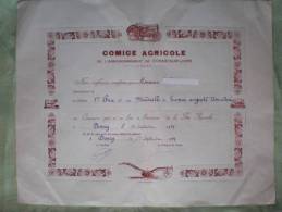 - DONZY- COMICE AGRICOLE DE L'ARRONDISSEMENT De COSNE SUR LOIRE- Diplôme - Diplomas Y Calificaciones Escolares